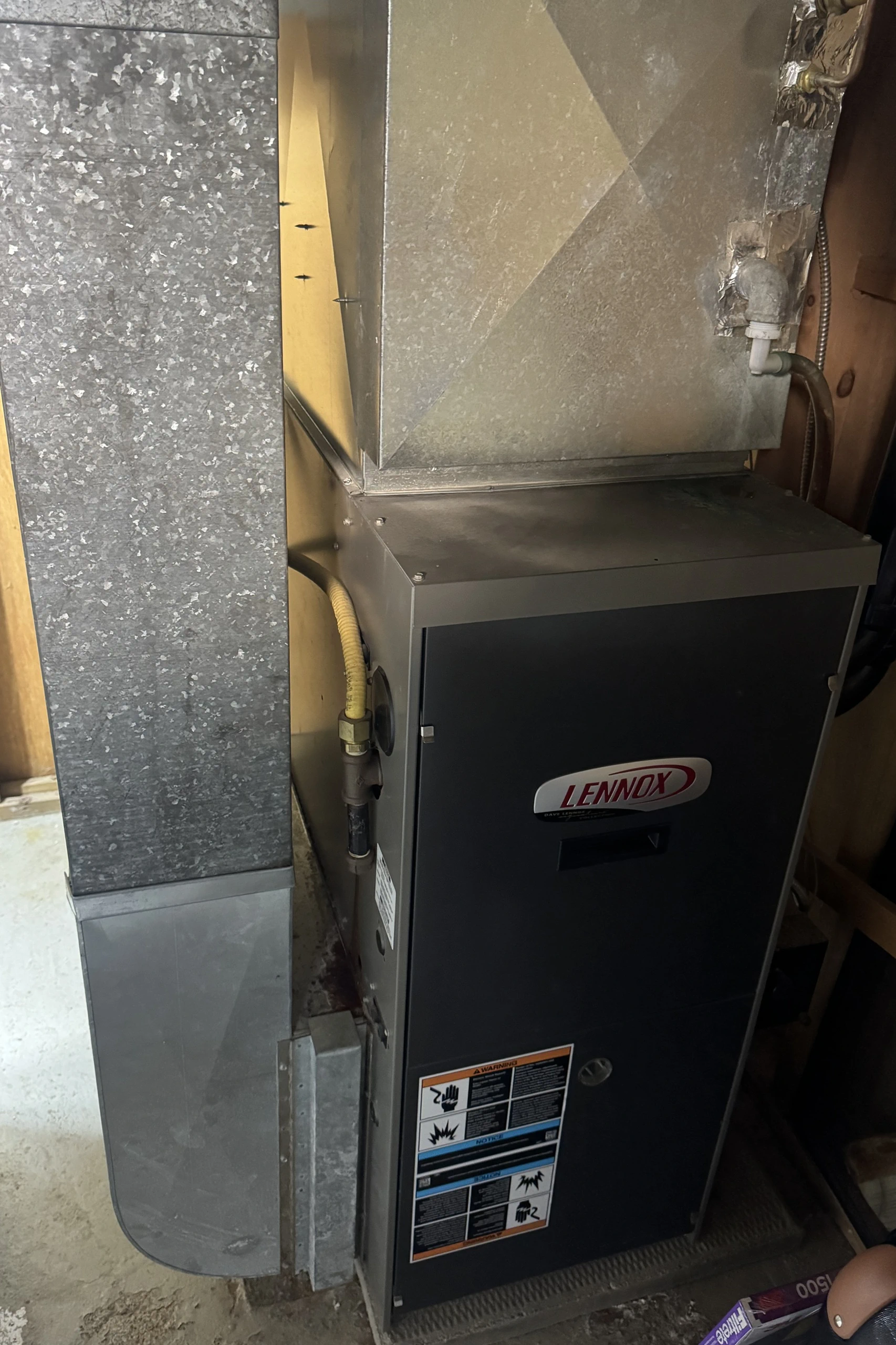 Furnace inspection